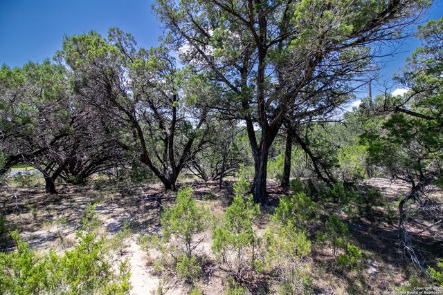 9007 Fox Briar Ln, Boerne, TX 78006