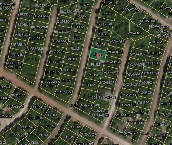 Lot 7 Plum Lane, Normangee, TX 77871