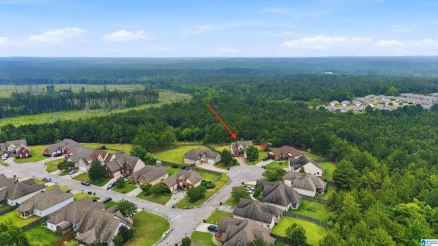 100 WATERFORD HIGHLANDS TRAIL, Calera, AL 35040