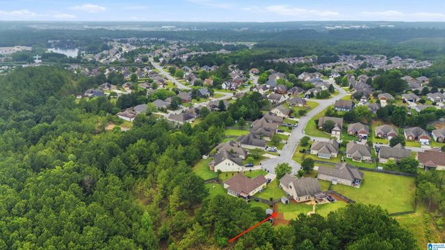 100 WATERFORD HIGHLANDS TRAIL, Calera, AL 35040