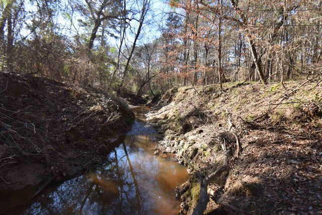 18919 Forest Ln, Flint, TX 75762