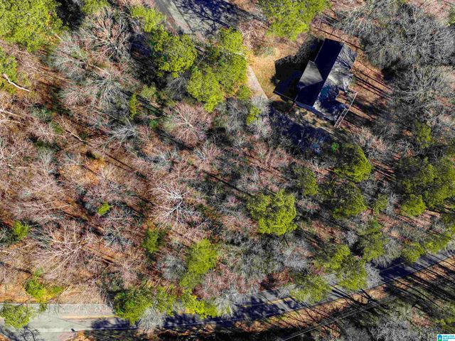 1100 VAIL CIRCLE, Birmingham, AL 35215