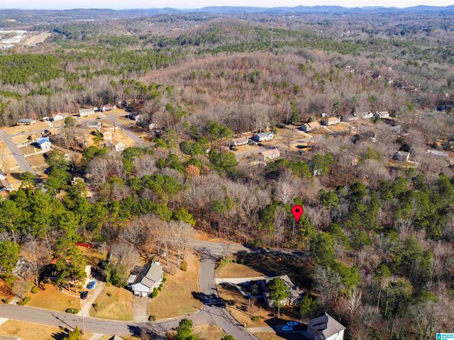 1100 VAIL CIRCLE, Birmingham, AL 35215