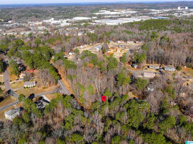 1100 VAIL CIRCLE, Birmingham, AL 35215