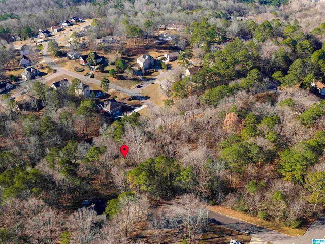 1100 VAIL CIRCLE, Birmingham, AL 35215