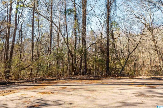 1100 VAIL CIRCLE, Birmingham, AL 35215