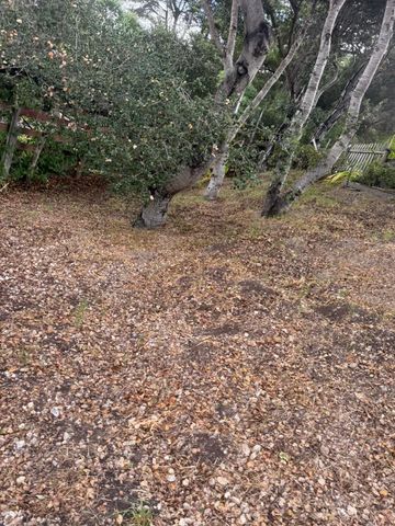 11585 Mccarthy Road, Carmel Valley, CA 93924