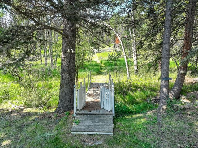 28942 Shadow Mountain Drive, Conifer, CO 80433