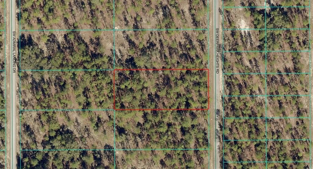 TBD LOT 12 SW DEERPARK HEIGHTS ROAD, Dunnellon, FL 34431
