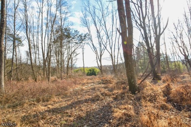 54 Lincoln Laurel Rd, Frelinghuysen Twp., NJ 07825
