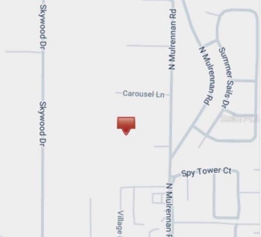 224 OLD MULRENNAN ROAD, Valrico, FL 33594