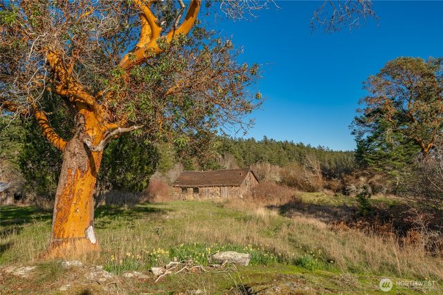 1014 Ben Nevis Loop, Shaw Island, WA 98286