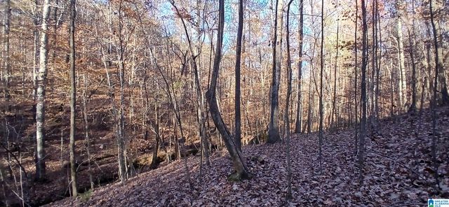 0 BLACKJACK ROAD, Argo, AL 35173