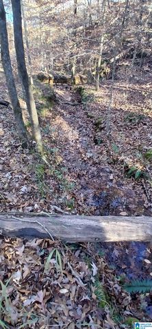0 BLACKJACK ROAD, Argo, AL 35173