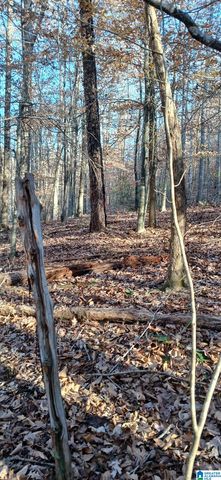 0 BLACKJACK ROAD, Argo, AL 35173