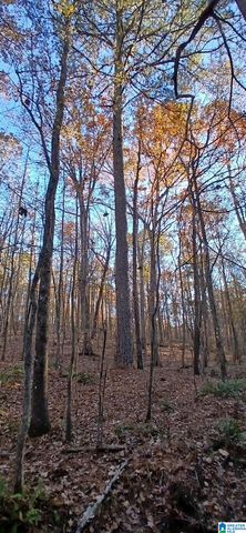 0 BLACKJACK ROAD, Argo, AL 35173