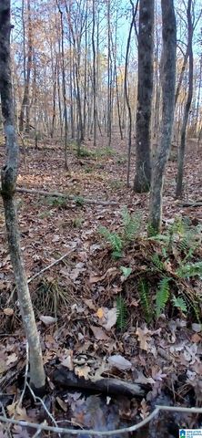 0 BLACKJACK ROAD, Argo, AL 35173