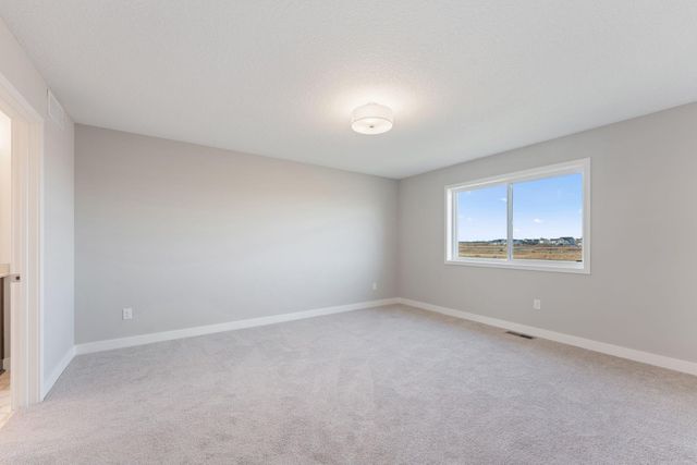 15029 Ardmullivan Lane, Rosemount, MN 55068