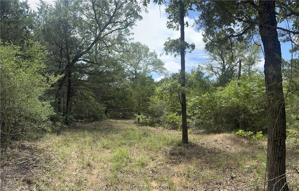3518 Winding Road, Hearne, TX 77859 — photo 3