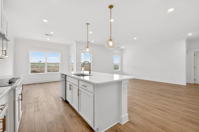 3220 Ventura Ave, White House, TN 37188