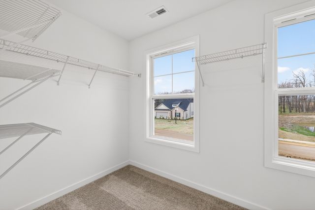 3220 Ventura Ave, White House, TN 37188