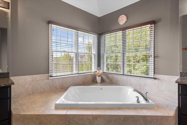 17629 Mystic Valley Court, Northville Twp, MI 48168
