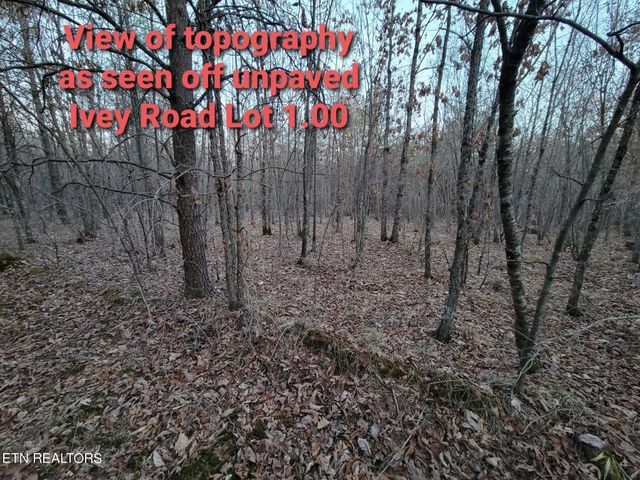 HWY 127 N OFF, Crossville, TN 38555