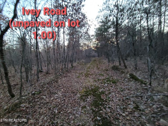 HWY 127 N OFF, Crossville, TN 38555