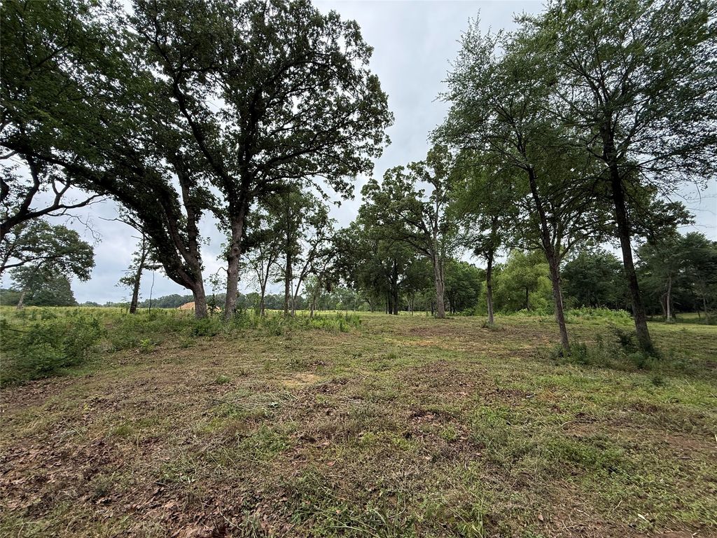 210 Livingston Street, Edgewood, TX 75117