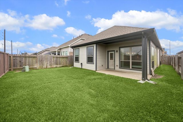 17238 Broadleaf Oak Drive, Hockley, TX 77447