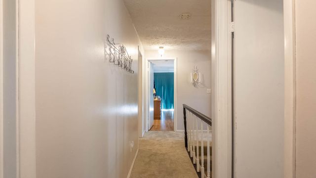 192 Mo 19, Alton, MO 65606