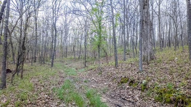 192 Mo 19, Alton, MO 65606