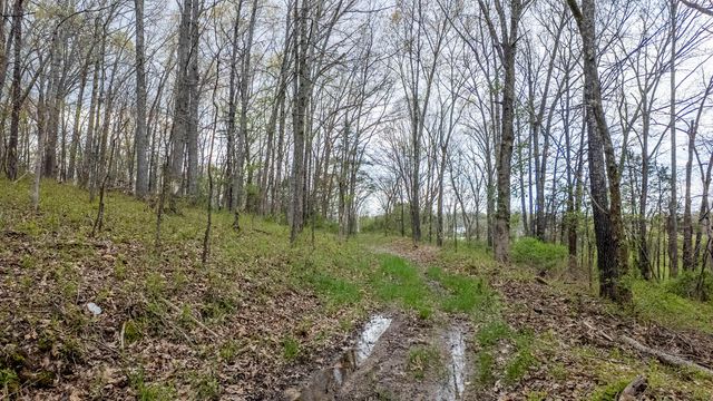 192 Mo 19, Alton, MO 65606