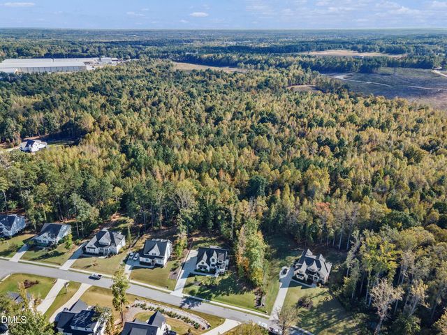 110 Black Swan Drive, Youngsville, NC 27596