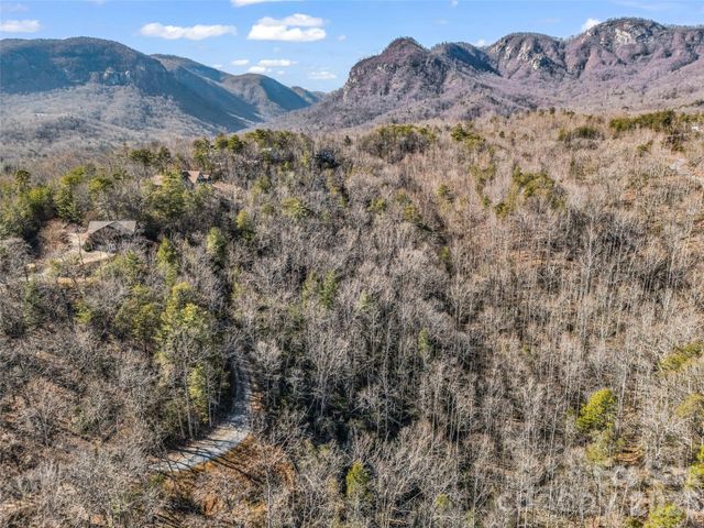 00 Mintwood Court, Lake Lure, NC 28746