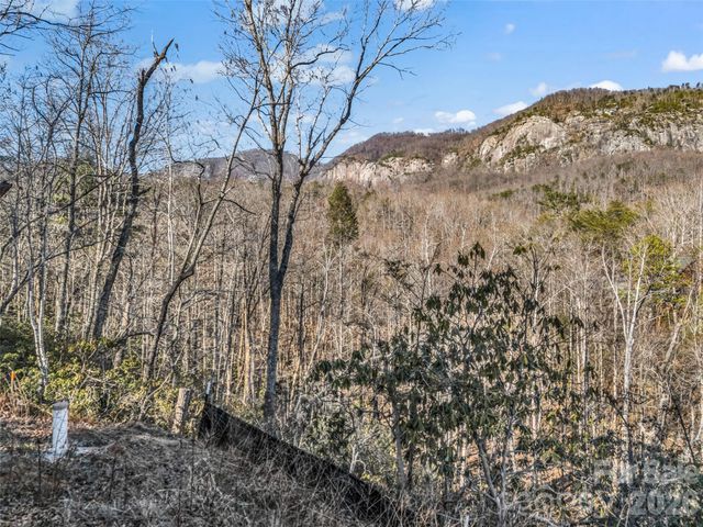 00 Mintwood Court, Lake Lure, NC 28746
