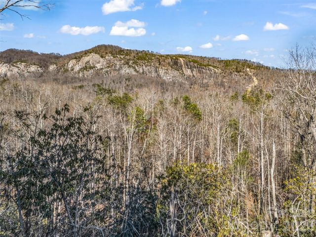 00 Mintwood Court, Lake Lure, NC 28746