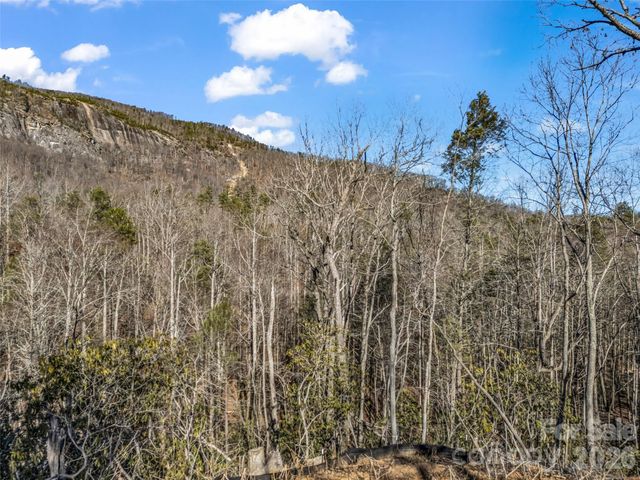 00 Mintwood Court, Lake Lure, NC 28746