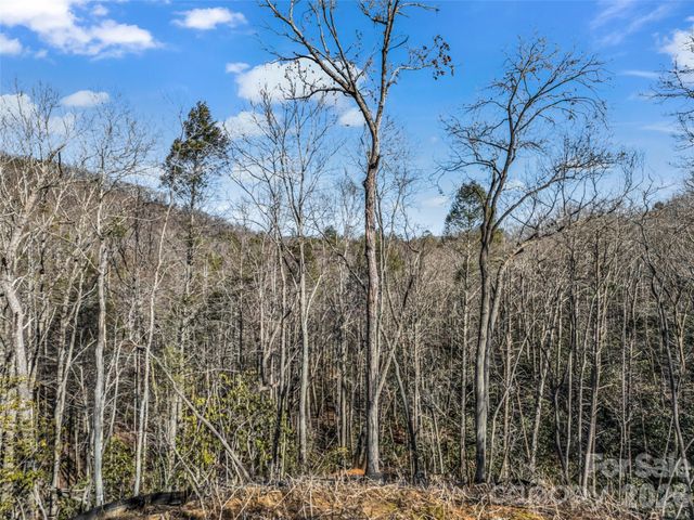 00 Mintwood Court, Lake Lure, NC 28746