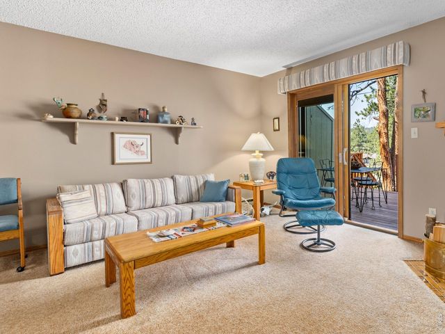 321 Big Horn Dr C-2, Estes Park, CO 80517