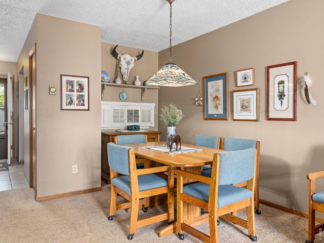 321 Big Horn Dr C-2, Estes Park, CO 80517