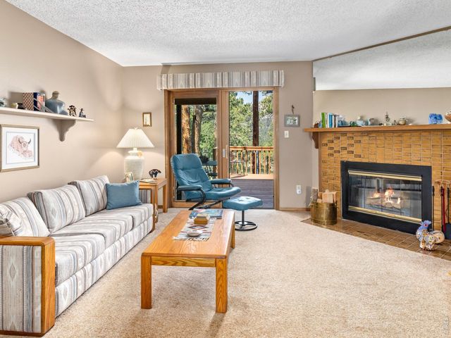 321 Big Horn Dr C-2, Estes Park, CO 80517