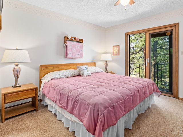 321 Big Horn Dr C-2, Estes Park, CO 80517