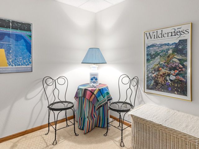 321 Big Horn Dr C-2, Estes Park, CO 80517
