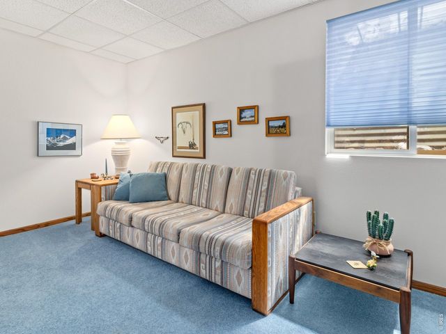 321 Big Horn Dr C-2, Estes Park, CO 80517