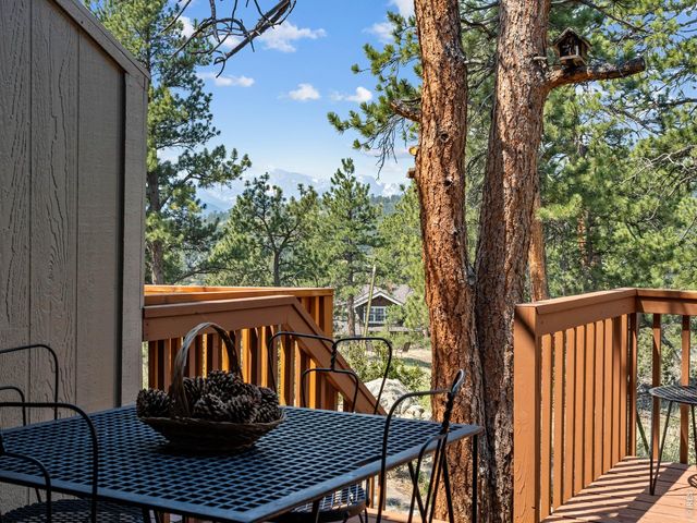 321 Big Horn Dr C-2, Estes Park, CO 80517