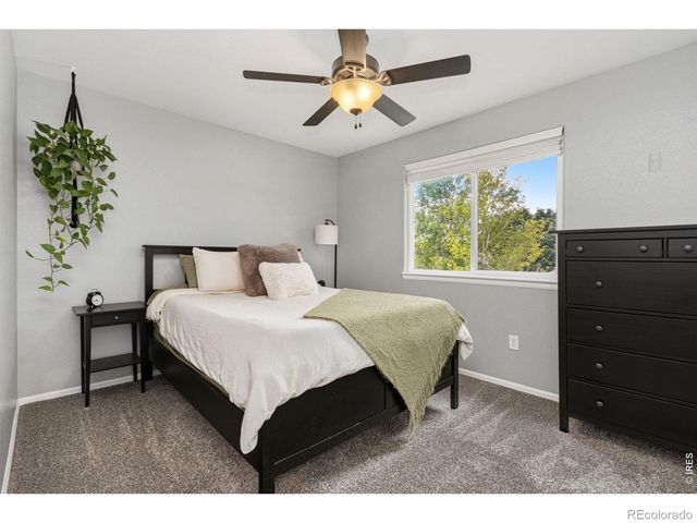 6837 Mcclellan Road, Wellington, CO 80549
