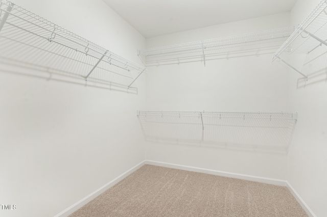 74 W Emily Gardens Drive, Selma, NC 27576