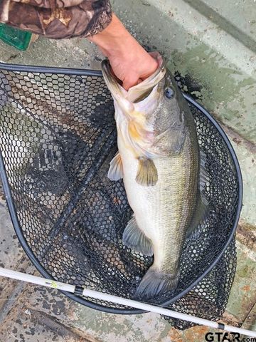 20616 E Grove Club Lake Rd, Whitehouse, TX 75791