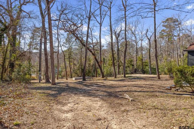 20616 E Grove Club Lake Rd, Whitehouse, TX 75791